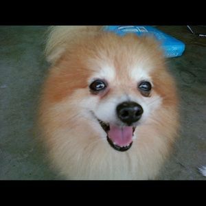 Meet your Posher, Gemma